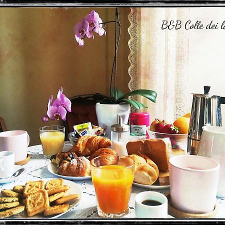 Bed and Breakfast Colle Dei Lauri Loreto Zewnętrze zdjęcie