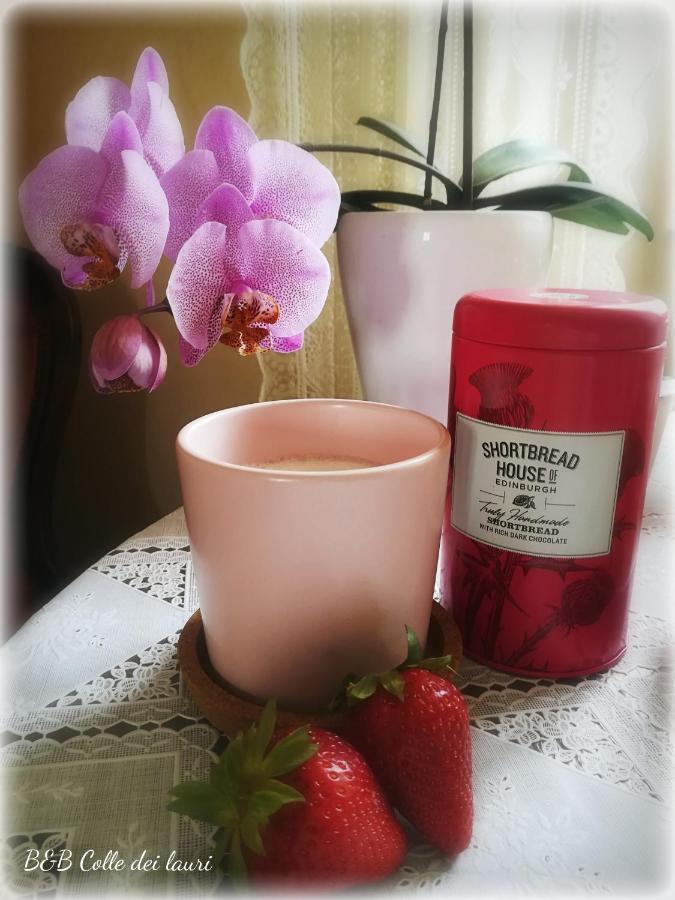 Bed and Breakfast Colle Dei Lauri Loreto Zewnętrze zdjęcie